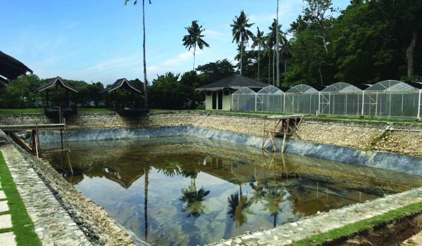 Aquaculture Farm